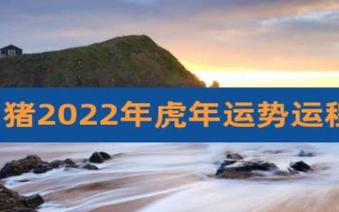 生肖猪2022年的整体运势如何，健康运势好不好呢