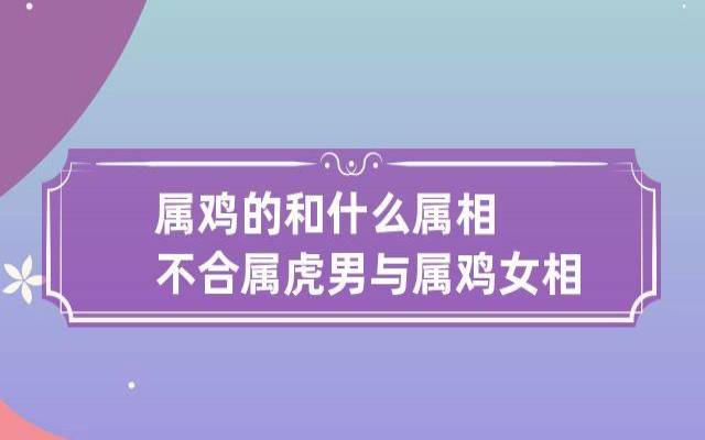 老虎和鸡属相合不合,能不能在一起呢 老虎和鸡属相合不合,能不能在一起呢