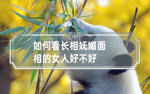 狐媚女人的八字