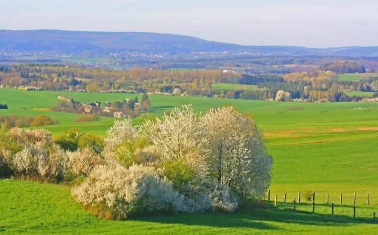 苏珊米勒2023年6月星座运势