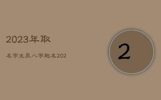 起名字2023免费八字起名公司名称，2023八字起名公司