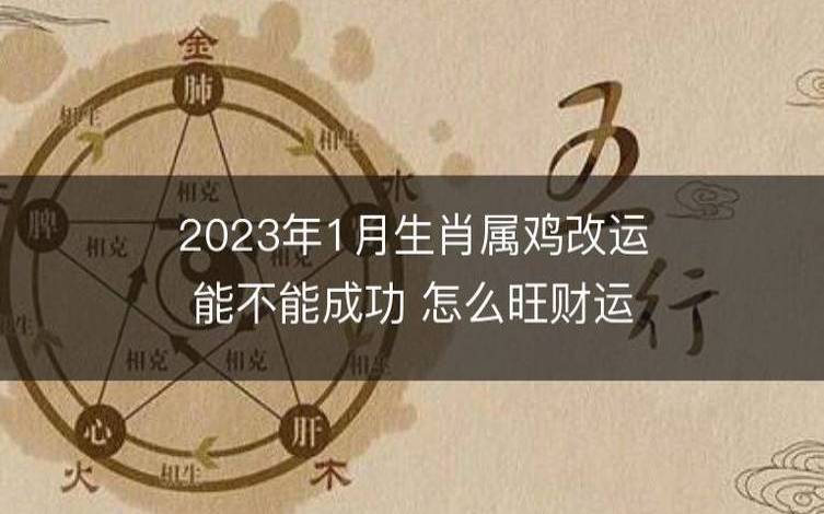 生肖鸡逐年运势