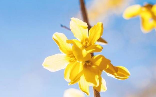 Eskey2013年10月星座运势 Eskey2013年10月星座运势