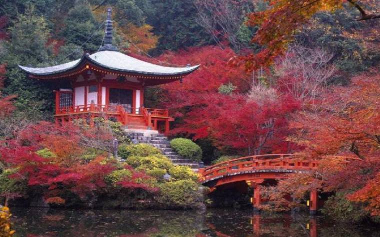 塔罗占卜，8月份我的运势会如何