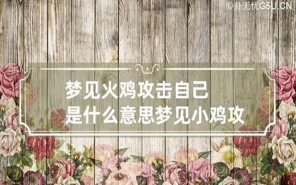 梦见火鸡