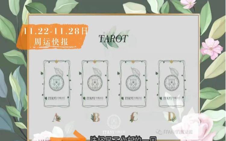 海百合12星座塔罗牌周运6