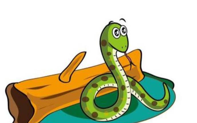 白鹤鸣2022年属蛇人运势 白鹤鸣2022年属蛇人运势