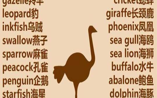 女人梦到白鹅是什么预兆