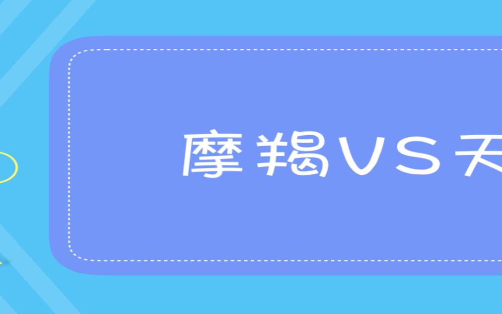 天秤座和什么座最配