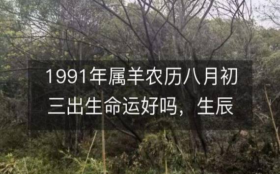 2021年八字丁酉月运势,2021年9月7日10月7日 2021年八字丁酉月运势,2021年9月7日10月7日