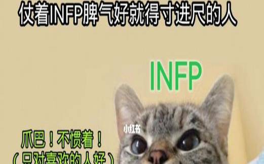 infj和isfj适合做情侣吗,isfj和infj合得来吗 infj和isfj适合做情侣吗,isfj和infj合得来吗