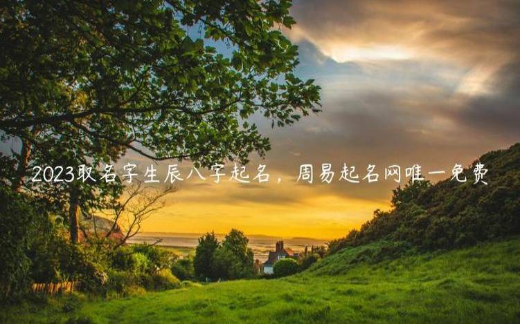 免费取名字大全免费查询2023，起名字2023免费八字起名
