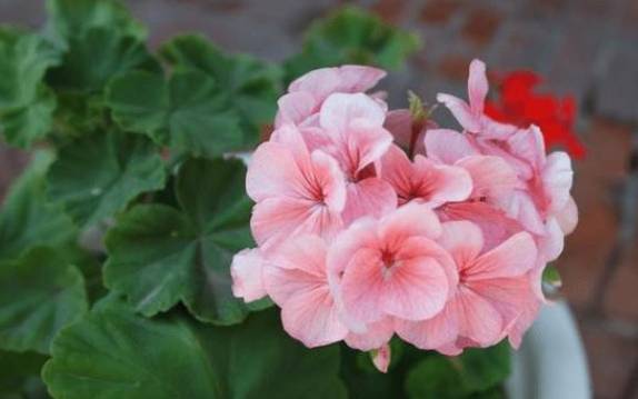 教你如何应对运势低沉 教你如何应对运势低沉