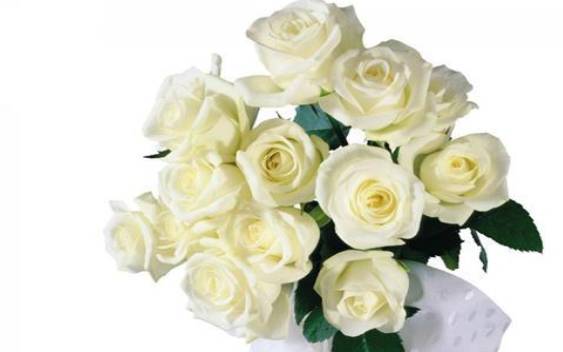 Alex十二星座运势（12.5—12.11)