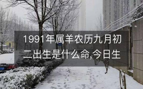 2019年八字辛未月运势，辛金／比肩月