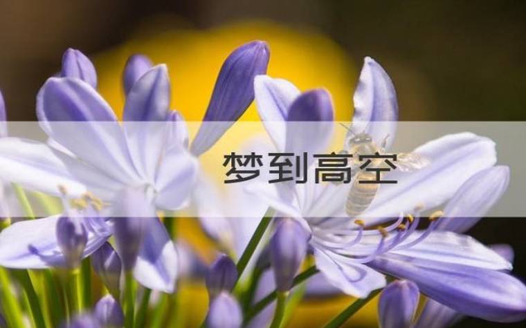 梦到自己应聘失败有什么预兆 梦到自己应聘失败有什么预兆