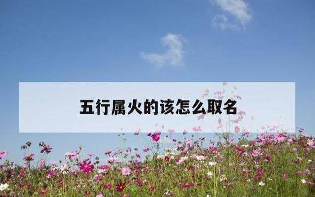 八字喜火公司取名,求一名字 八字喜火公司取名,求一名字