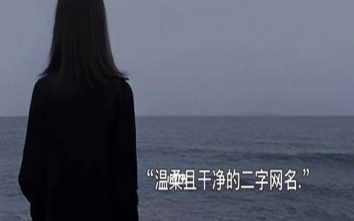 有气质安静的网名二字