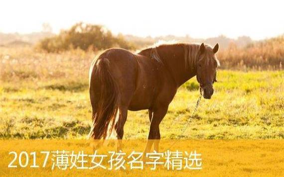 2017姓广的女孩名字大全,属鸡广姓女宝宝起名 2017姓广的女孩名字大全,属鸡广姓女宝宝起名