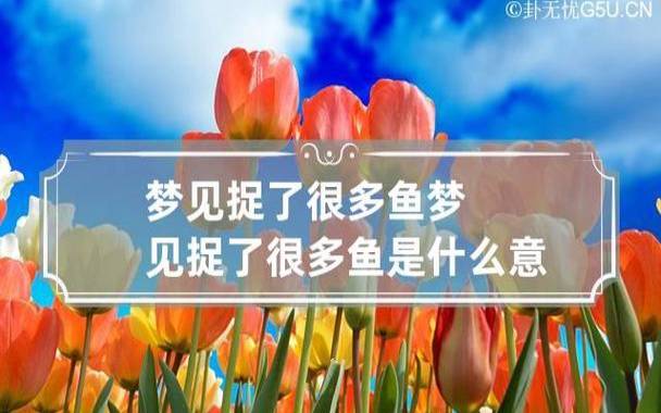 梦见使用渔网捕鱼 梦见使用渔网捕鱼