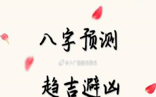 八字起名宝宝取名app