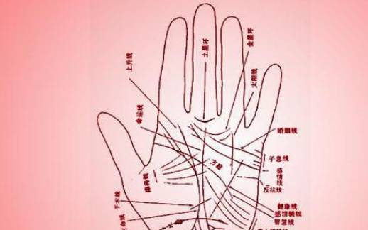 免费取名字大全查询生辰八字，人名测分哪个靠谱