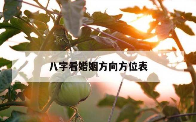 八字分析事业发展的方位