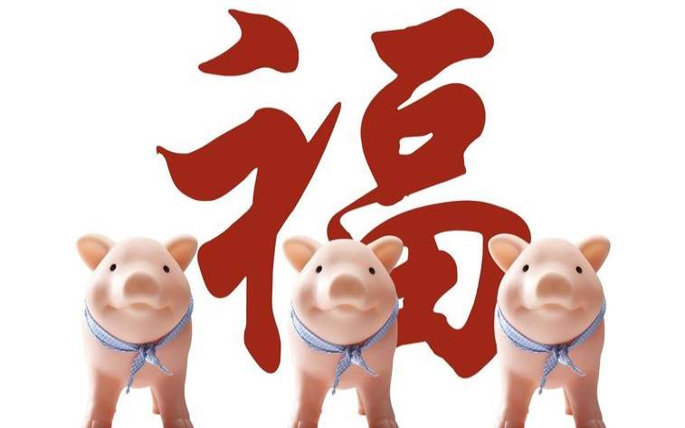 属猪的女人命好不好 属猪的女人命好不好