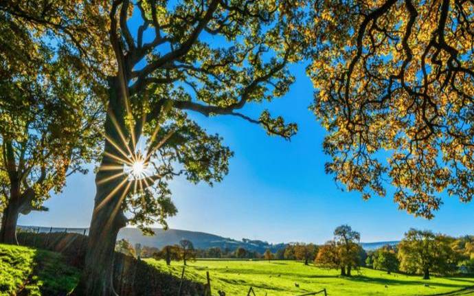 2022年9月1日十二生肖运势解析 2022年9月1日十二生肖运势解析