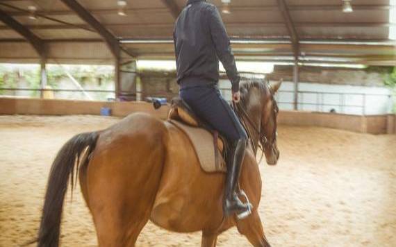 白鹤鸣2022年属马人运势 白鹤鸣2022年属马人运势