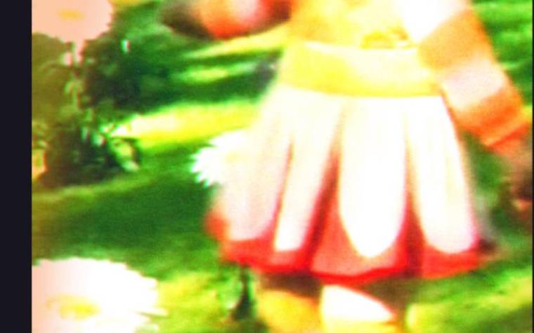 梦见花木 梦见花木