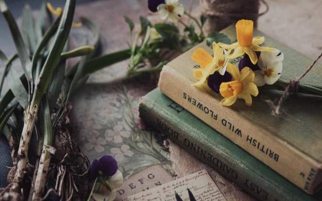 12生肖本周运势吉凶，点击开运