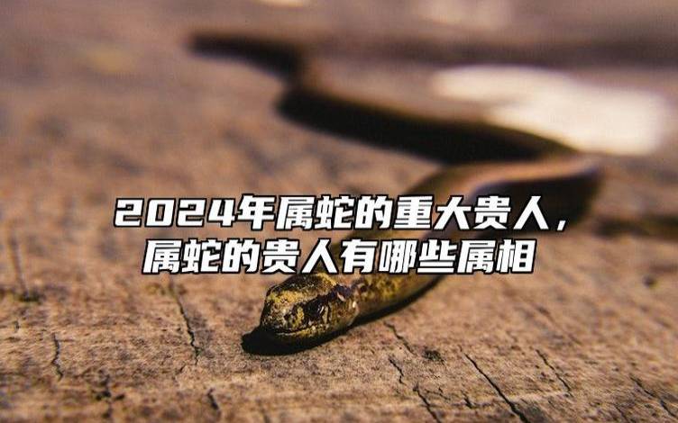 各个年份属蛇的人2020年运势 各个年份属蛇的人2020年运势