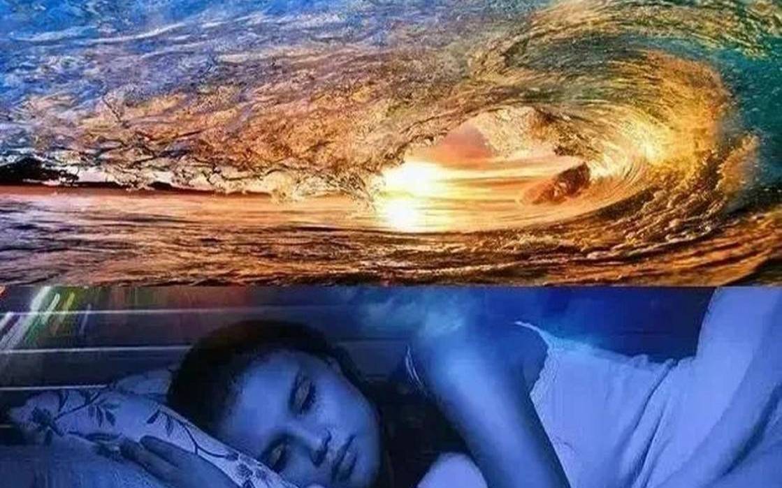 梦见花园 梦见花园
