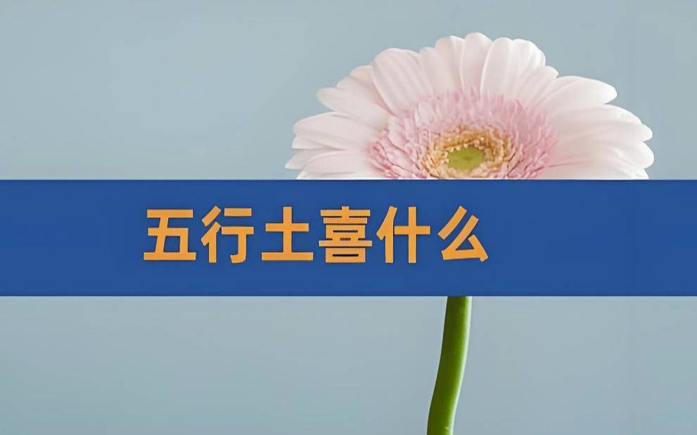 八字喜土女孩起名推荐，何为八字喜土