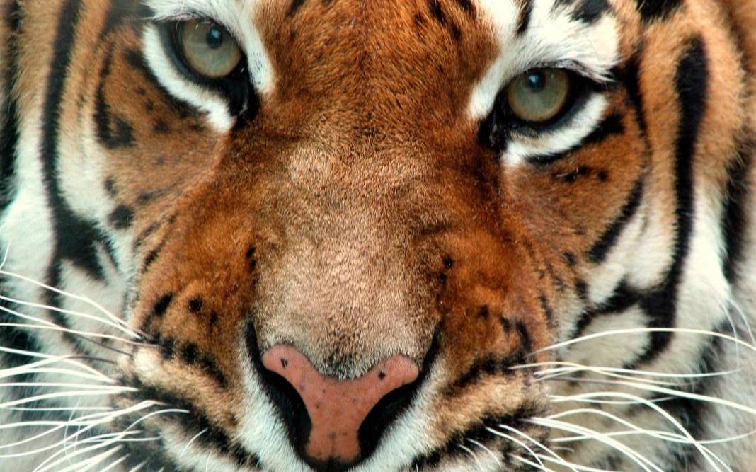 如何调整家居风水财位，让运势节节高升