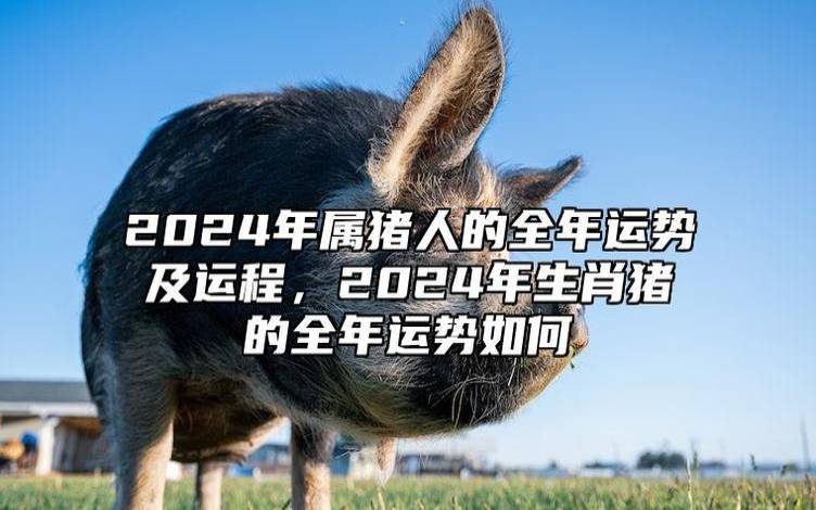 属猪2023年上半年运势怎样,财运好坏均有 属猪2023年上半年运势怎样,财运好坏均有