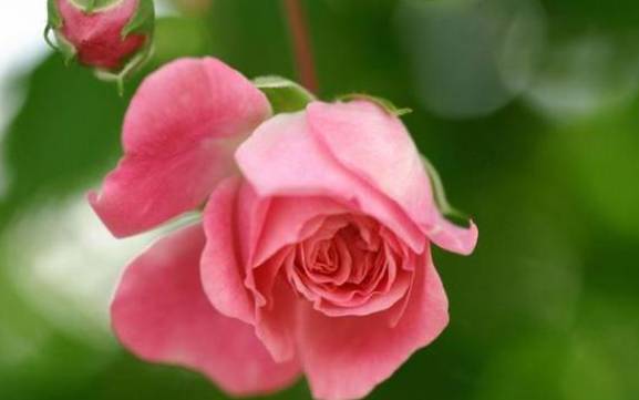 旧爱会给你留下什么隐形痕迹