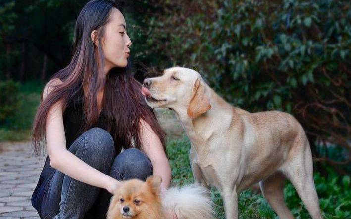 生肖羊女配生肖狗如何,两人相配吗 生肖羊女配生肖狗如何,两人相配吗