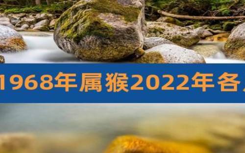 属猴人2022年每月运势 属猴人2022年每月运势