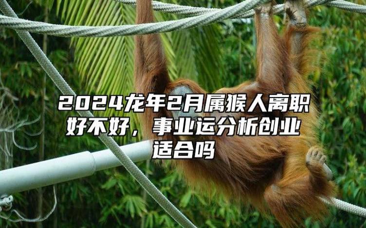 属猴的2024年犯太岁吗，2024年属猴人的整体运势详解