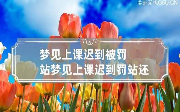 梦见学生上课