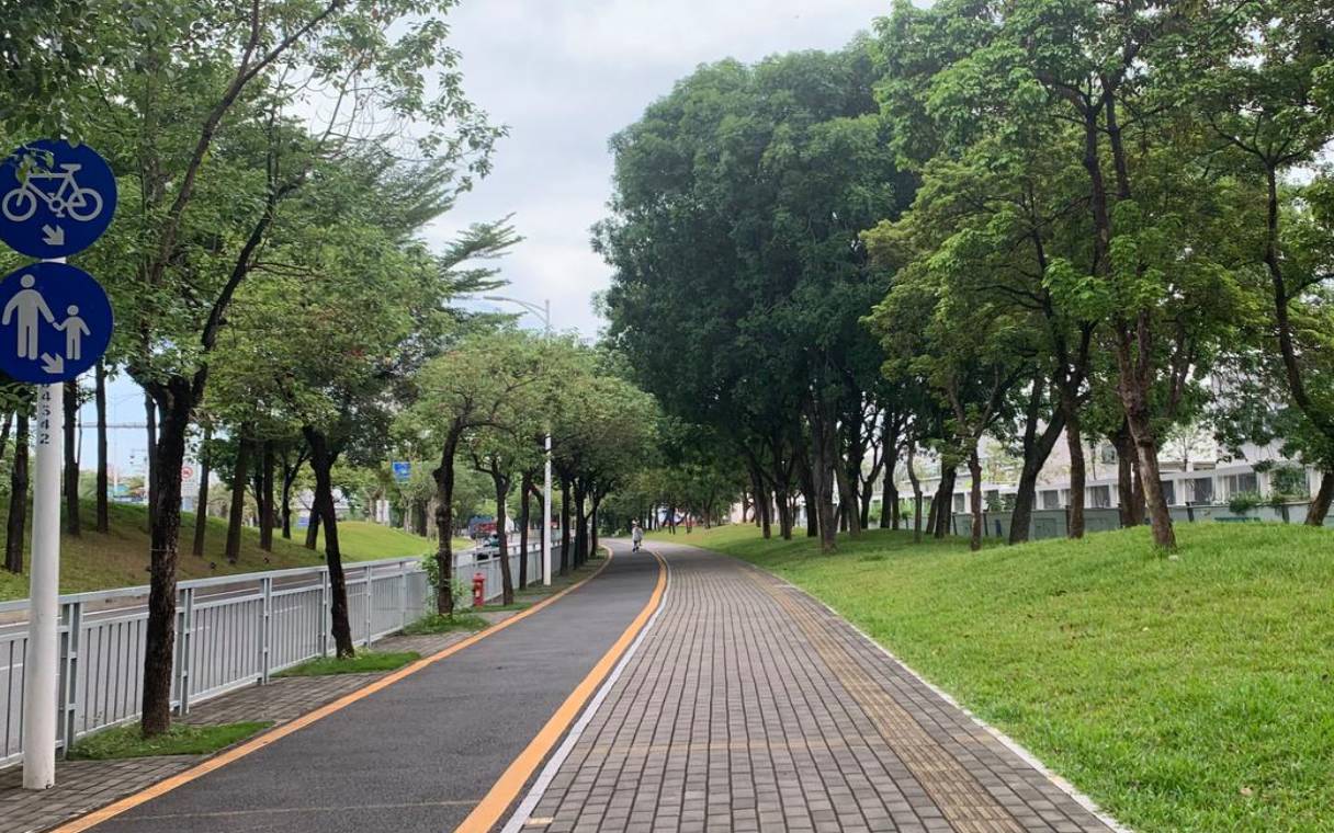 2023年八字癸亥月运势，2023年11月8日12月6日