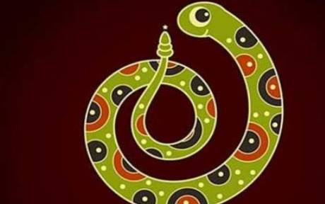 陈定帮2023年属蛇人运势