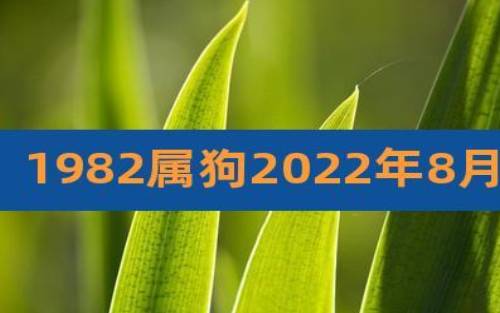 属狗的六月出生,运势一览 属狗的六月出生,运势一览