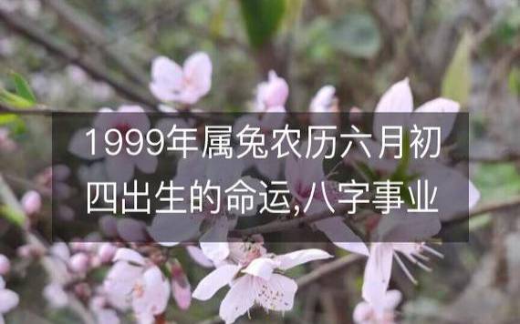 2019年八字辛未月运势，庚金／劫财月