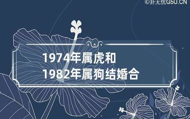 80年44岁属猴人2023年感情运势好吗，今年婚姻运程