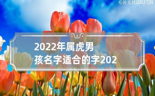 2022年属虎的宝宝名字汤，汤姓新生儿最新热门取名