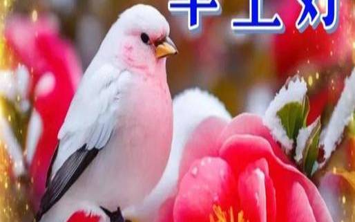 免费生辰八字起名字2024起名男宝宝,2024年八字祝福语 免费生辰八字起名字2024起名男宝宝,2024年八字祝福语