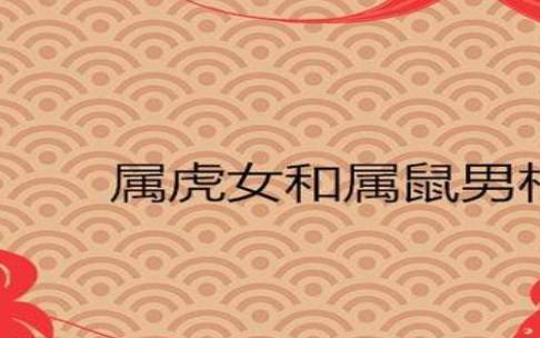 97年男属牛配98年女属虎好不好，怎么选日子